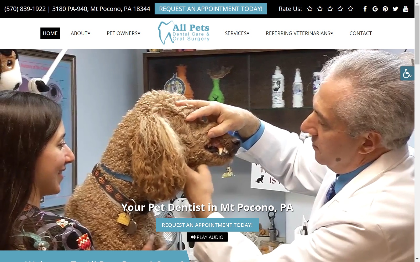 allpetsdentalcare.com screenshot