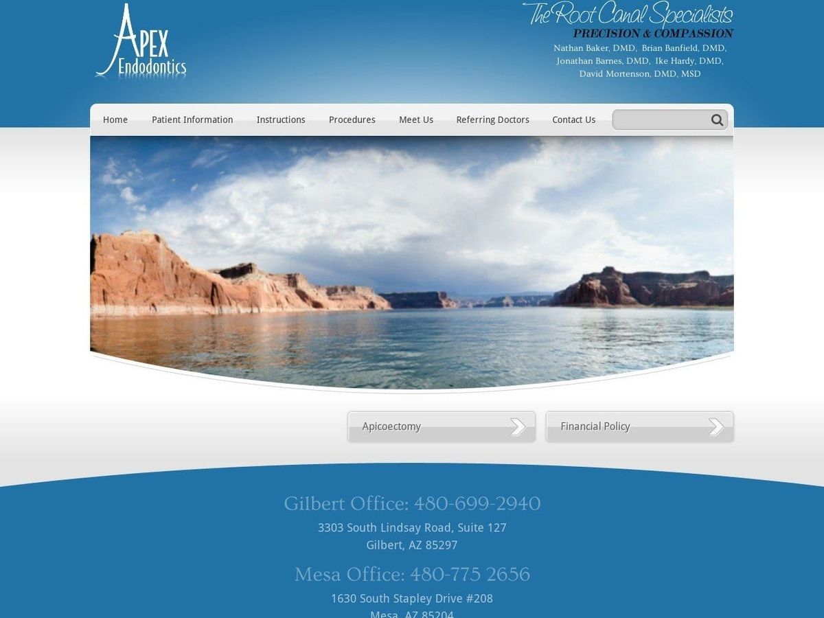 Apex Endodontics Website Screenshot from apexendo.com
