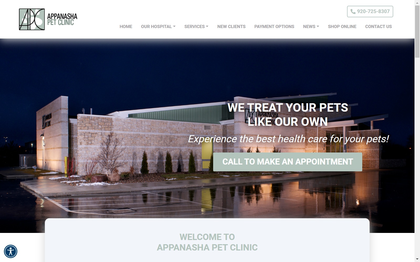 appanashapetclinic.com screenshot