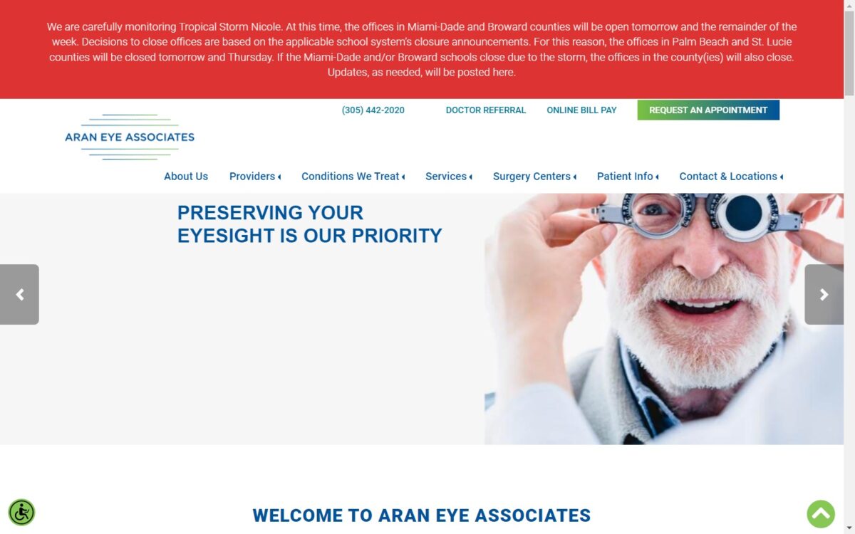 araneye.com screenshot