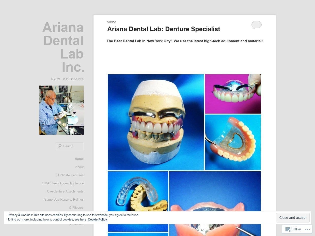 Ariana Dental Lab Inc. Website Screenshot from arianadentlab.com