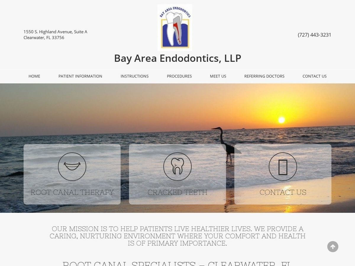 Bay Area Endodontics LLP Website Screenshot from bayareaendo.net