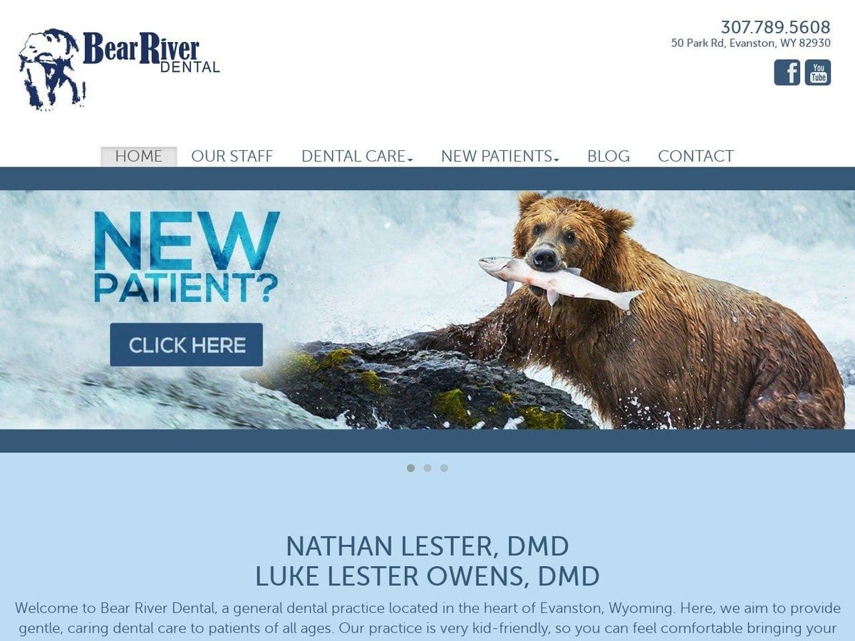 Dr. Nathan R. Lester DMD Website Screenshot from bearriverdental.com