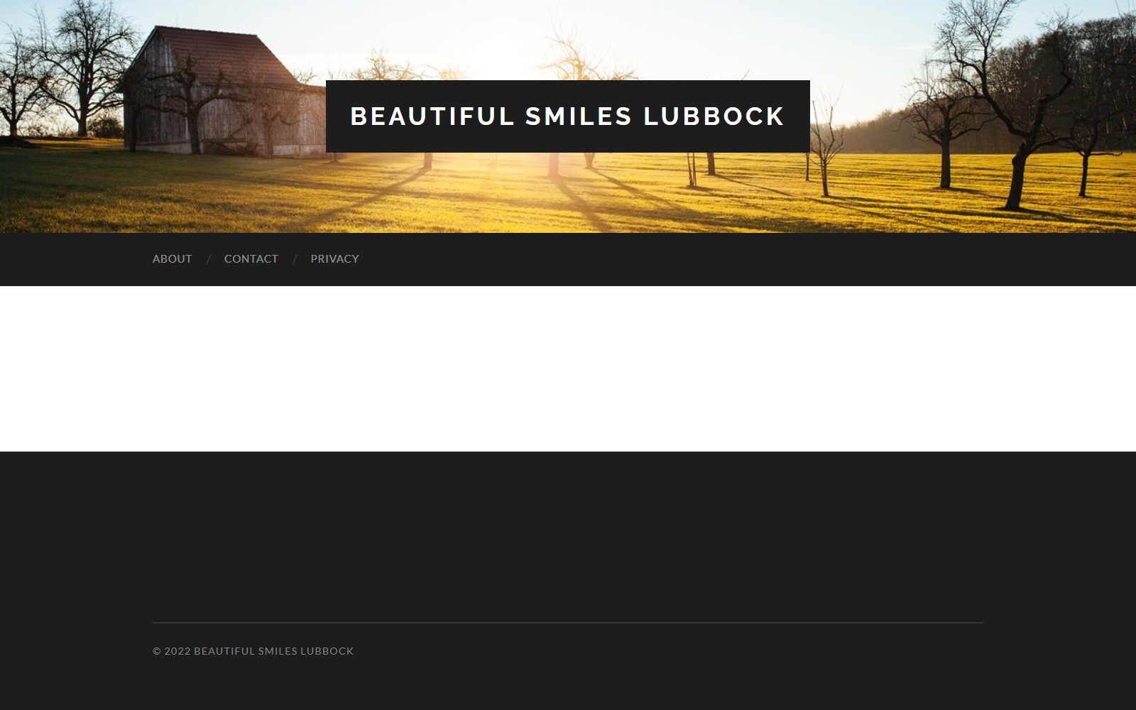 beautifulsmileslubbock.com screenshot