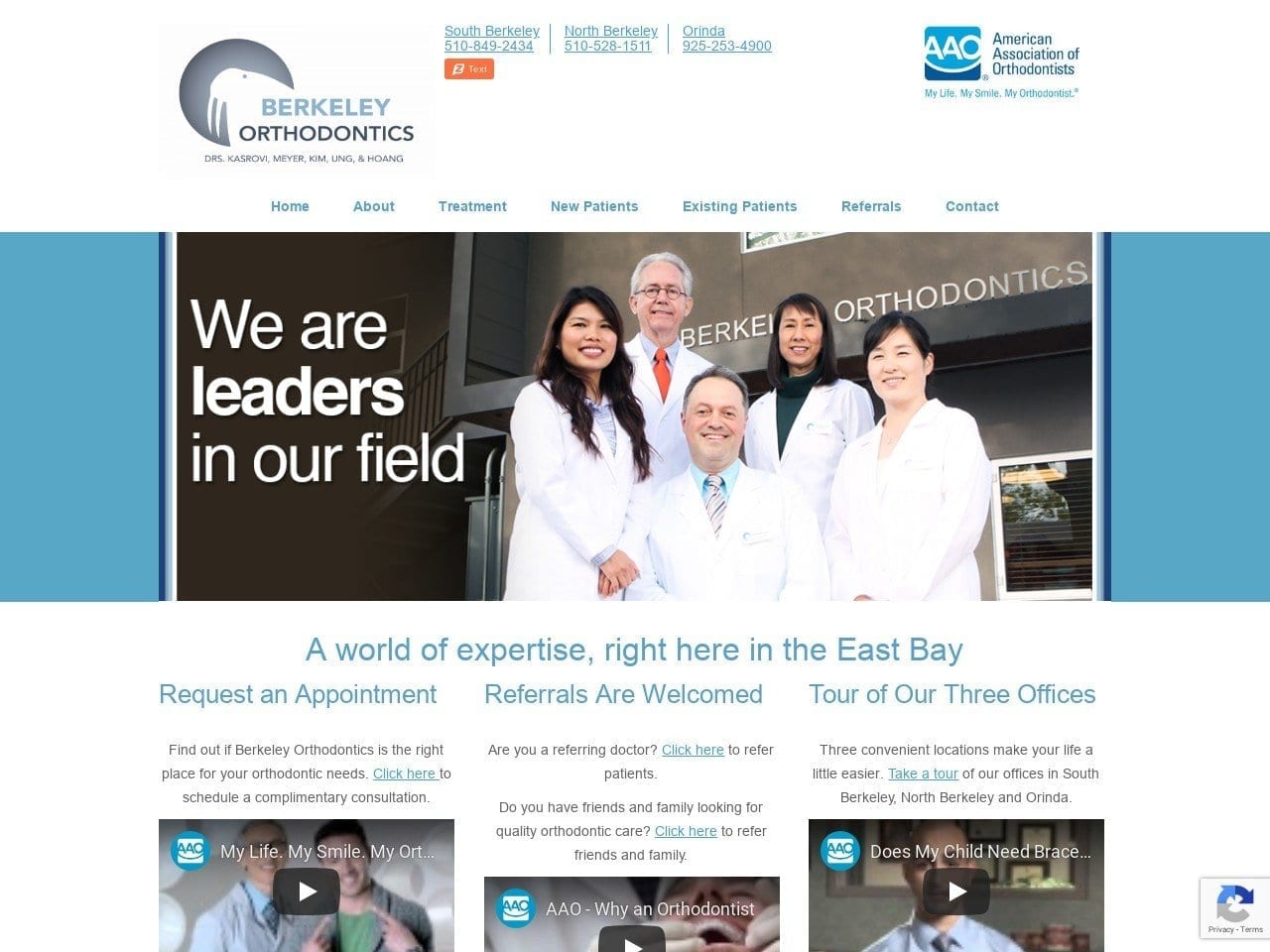 Berkeley Orthodontics Website Screenshot from berkeleyorthodontics.com