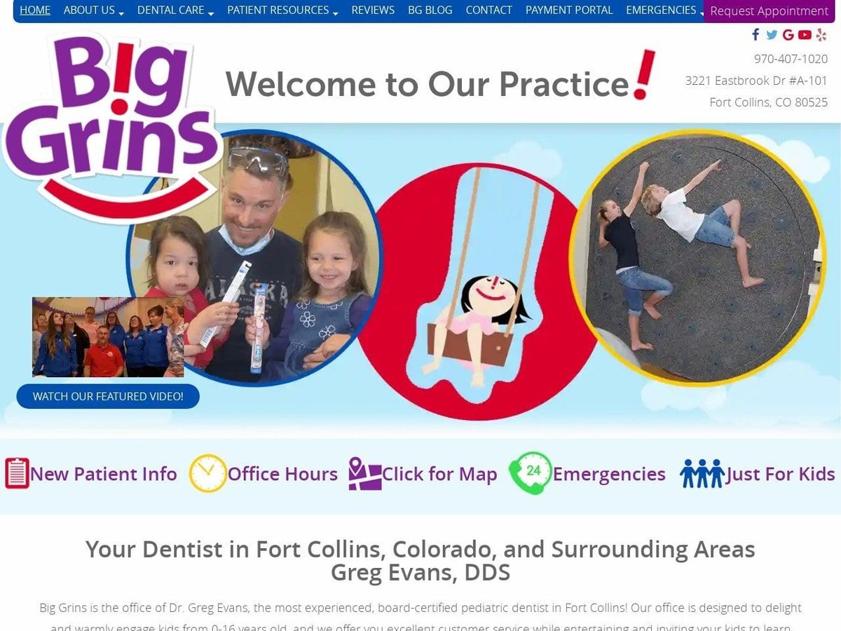 Big Grins Pediatric Dental Office Website Screenshot from biggrinswithdrgreg.com