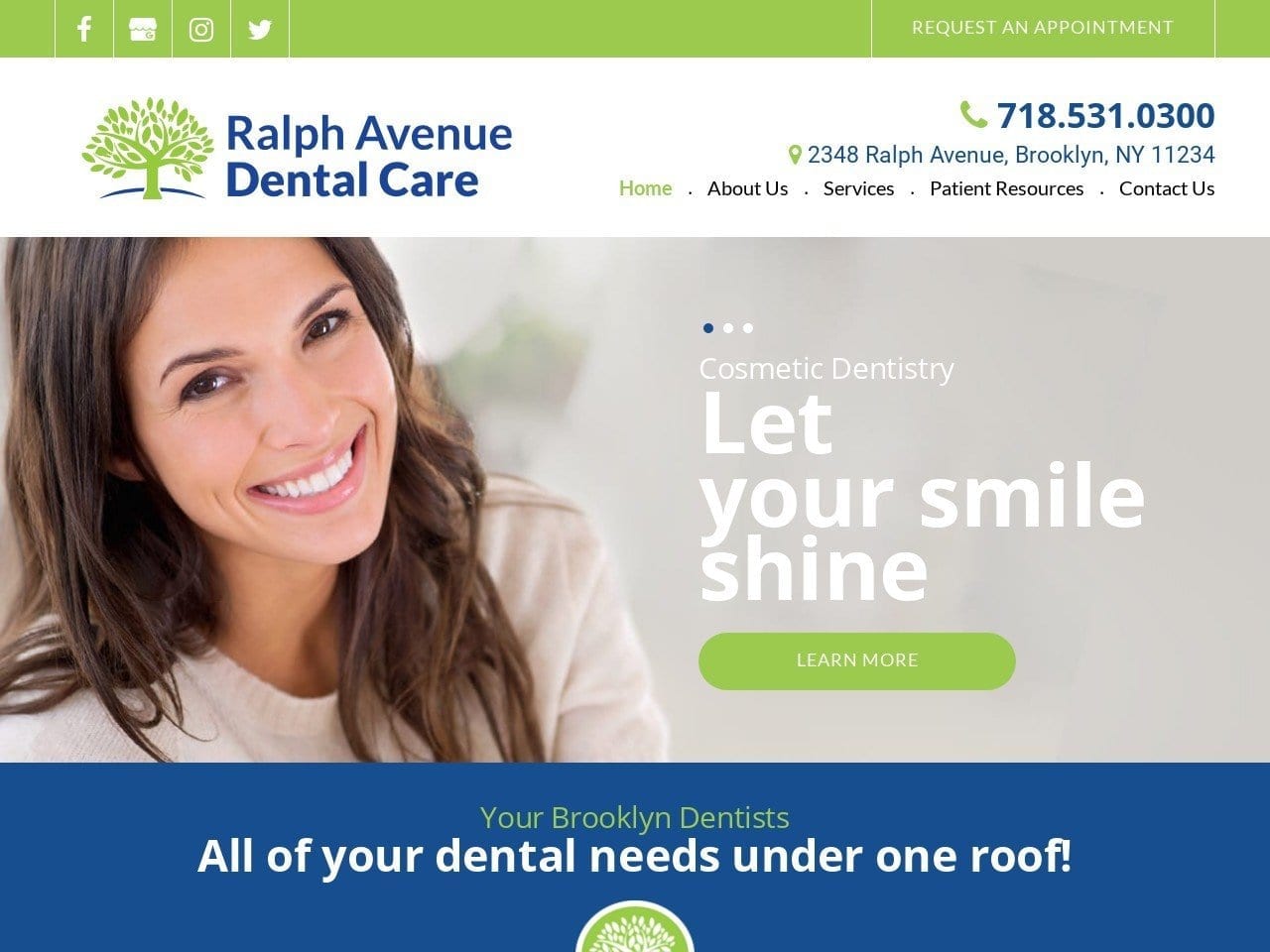 Hirsch Dentist Website Screenshot from bklyndds.com