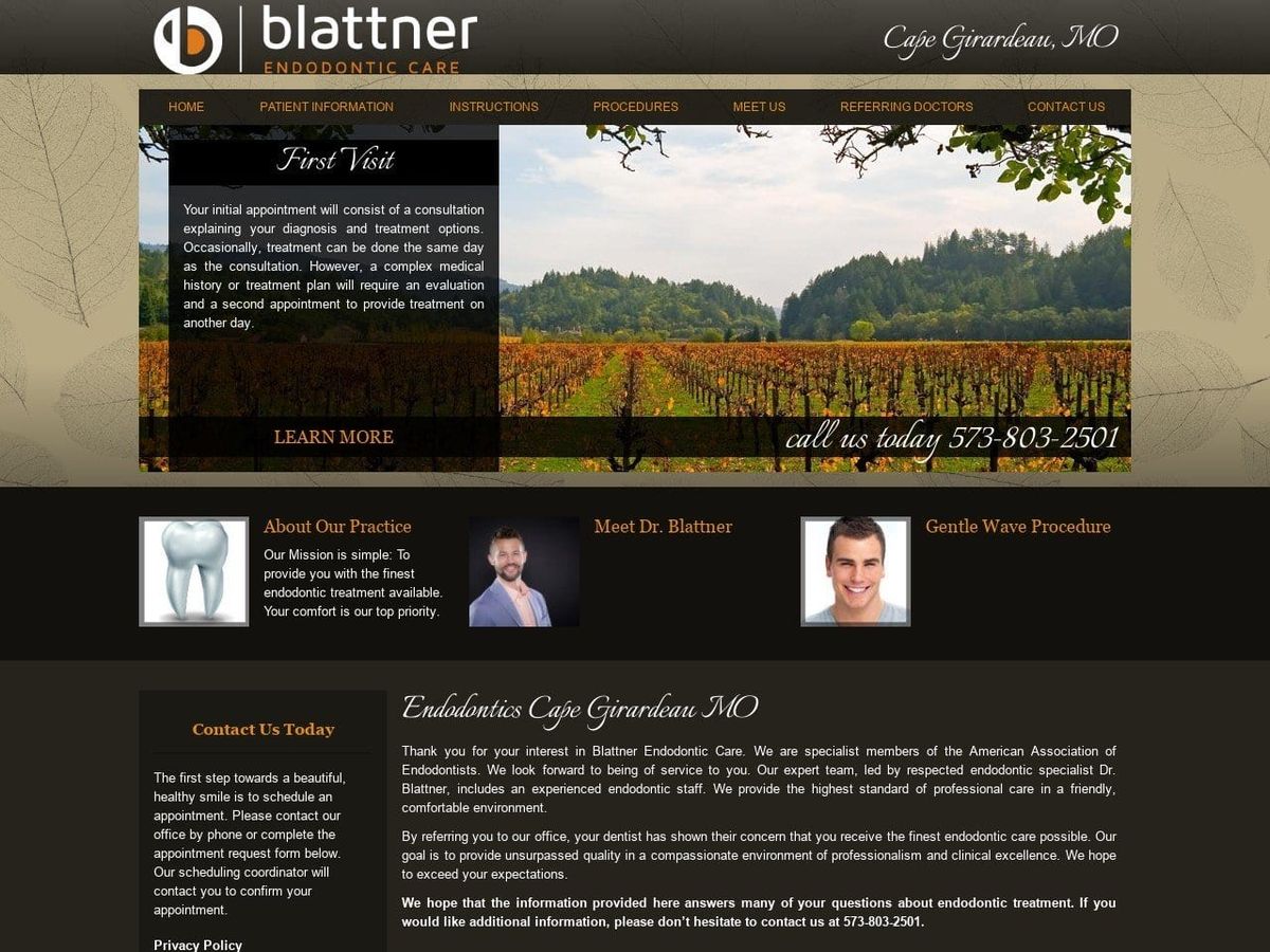 Blattner Endodontic Care Website Screenshot from blattnerendo.com