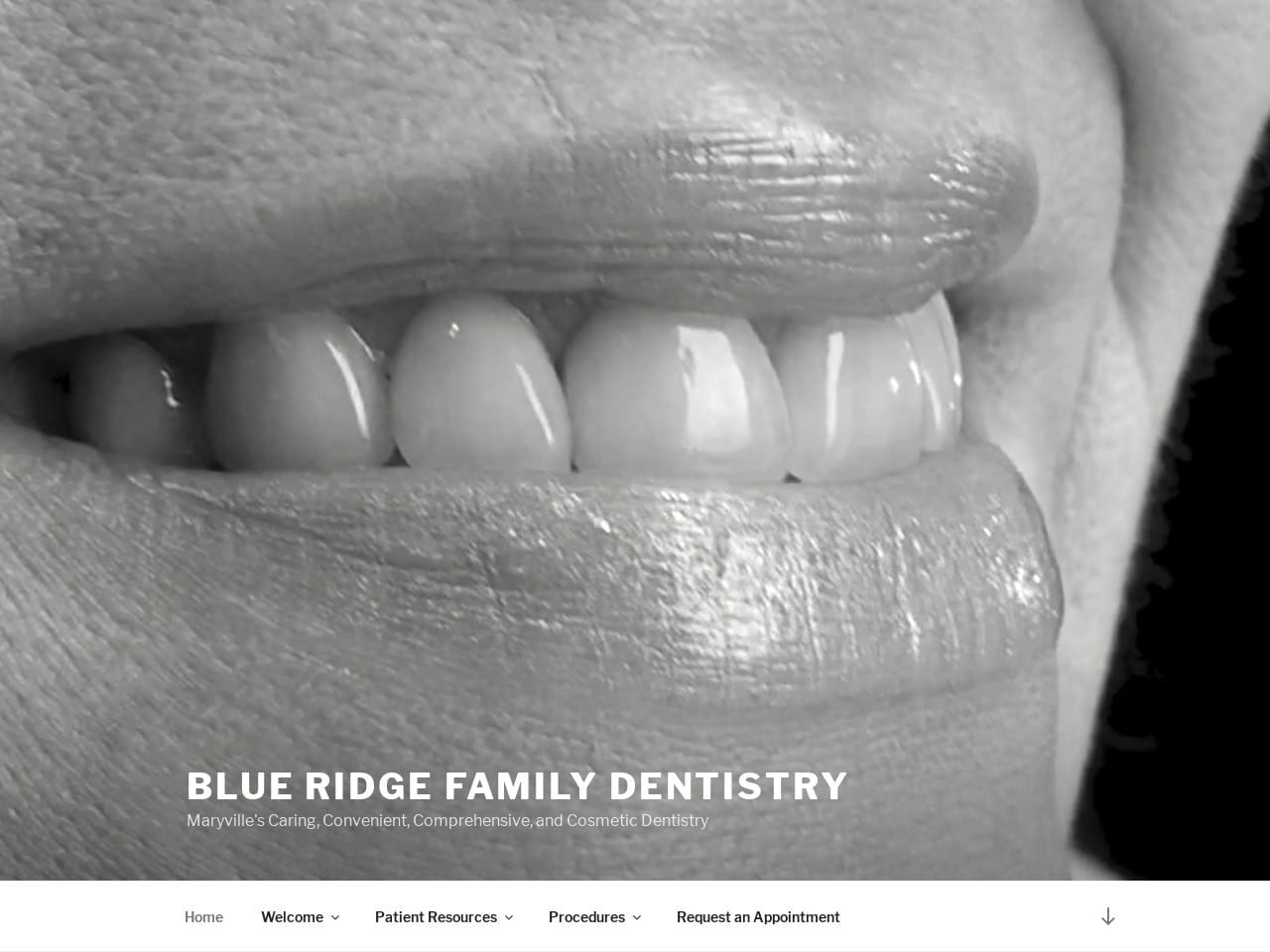 Harriss Family Dentistry Website Screenshot from blueridgedentistryonline.com