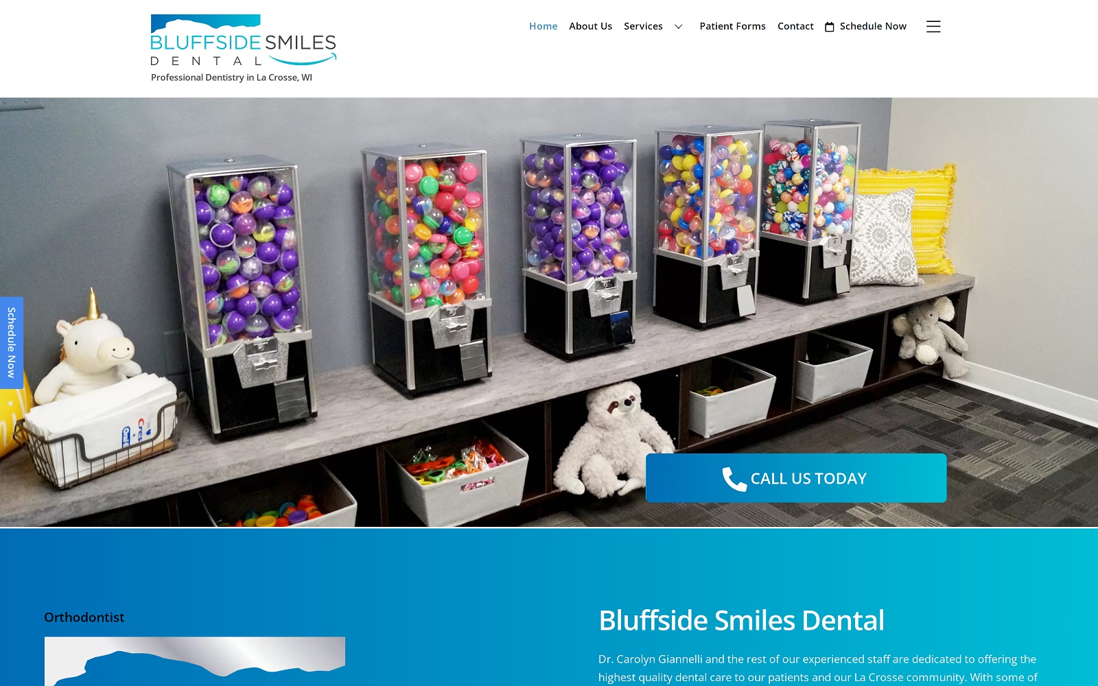 bluffsidesmiles.com screenshot