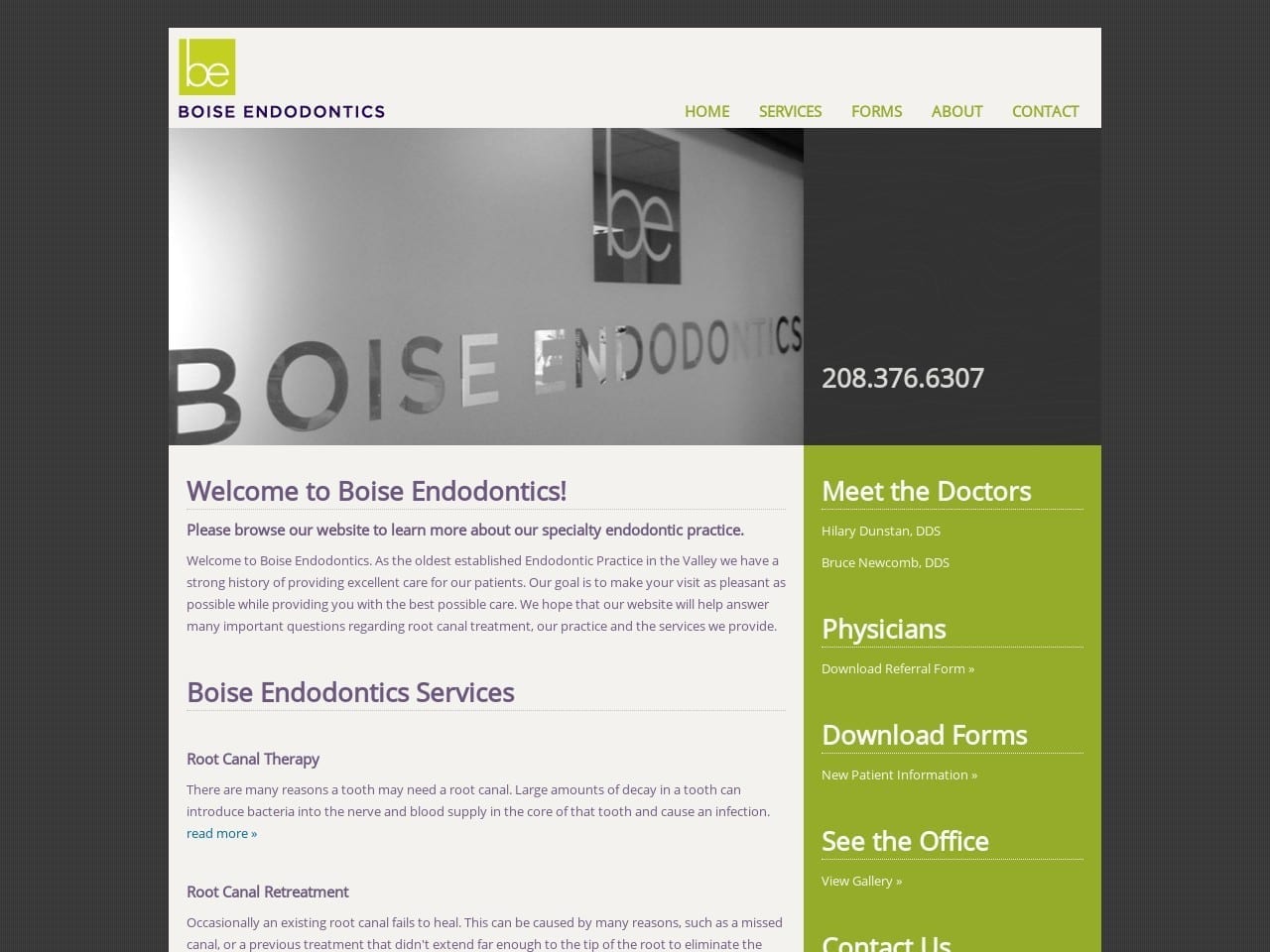 Dr. Hilary I. Dunstan DDS Website Screenshot from boiseendo.com