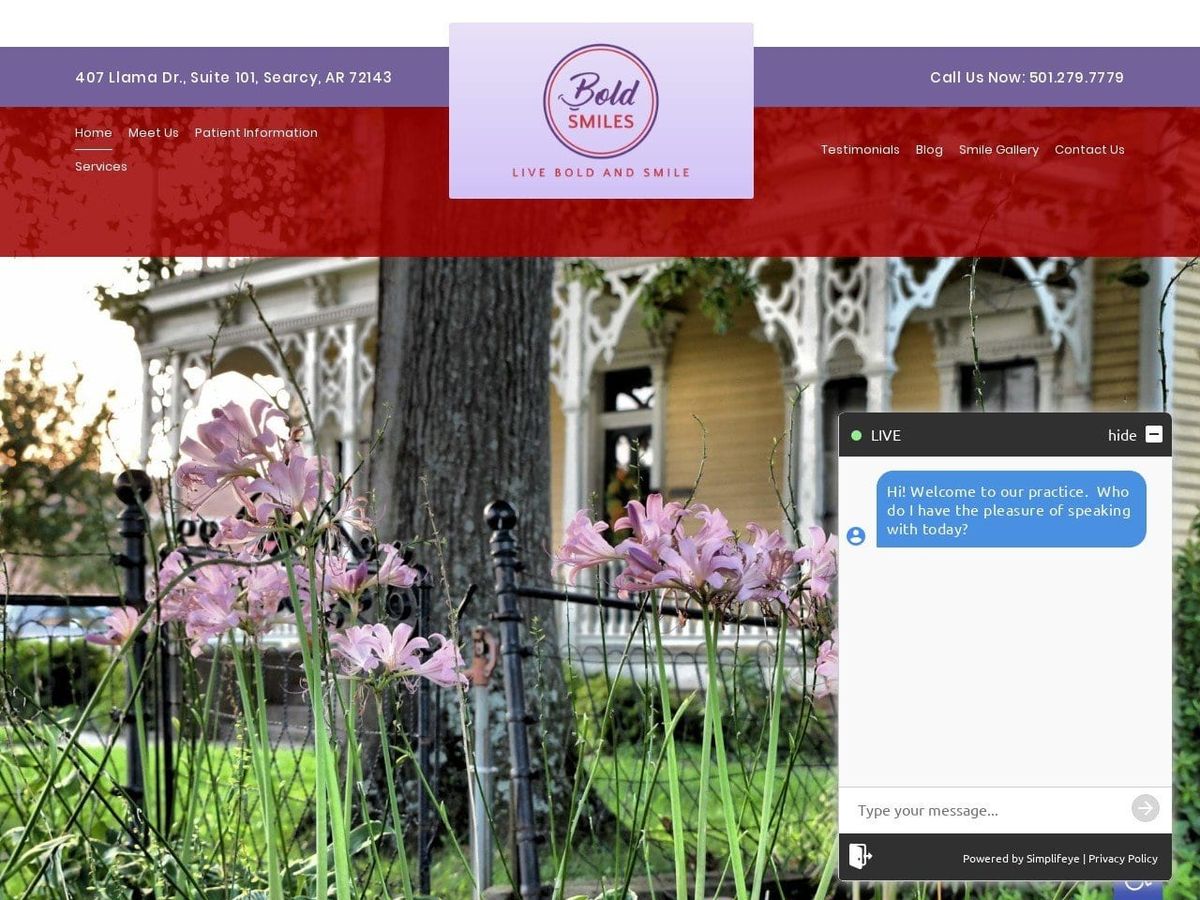 Bold Smiles Website Screenshot from boldsmiles.com