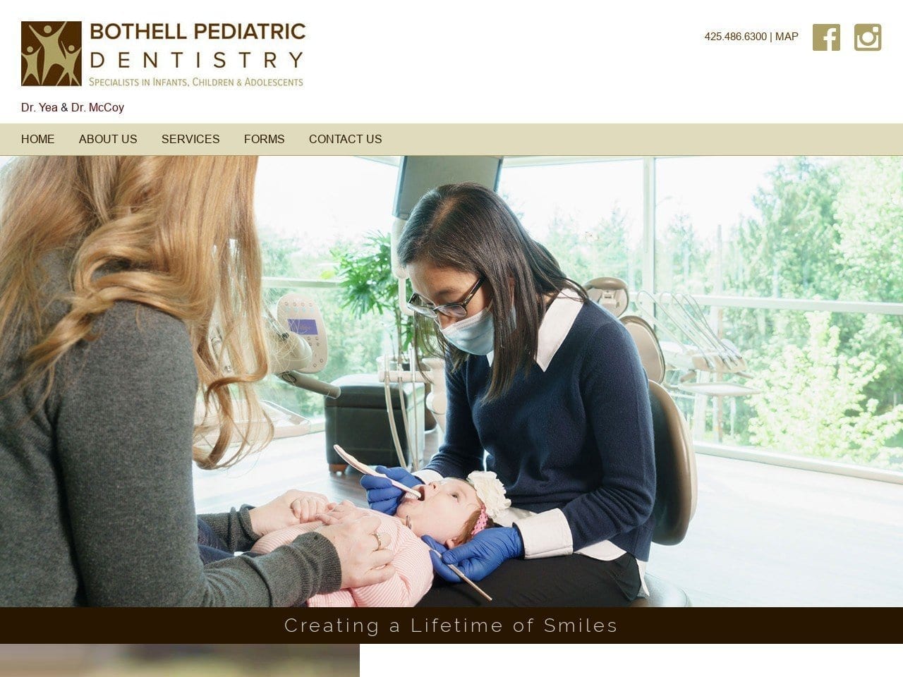 Dr. Jon A. Dallman DDS Website Screenshot from bothellkidsdentist.com