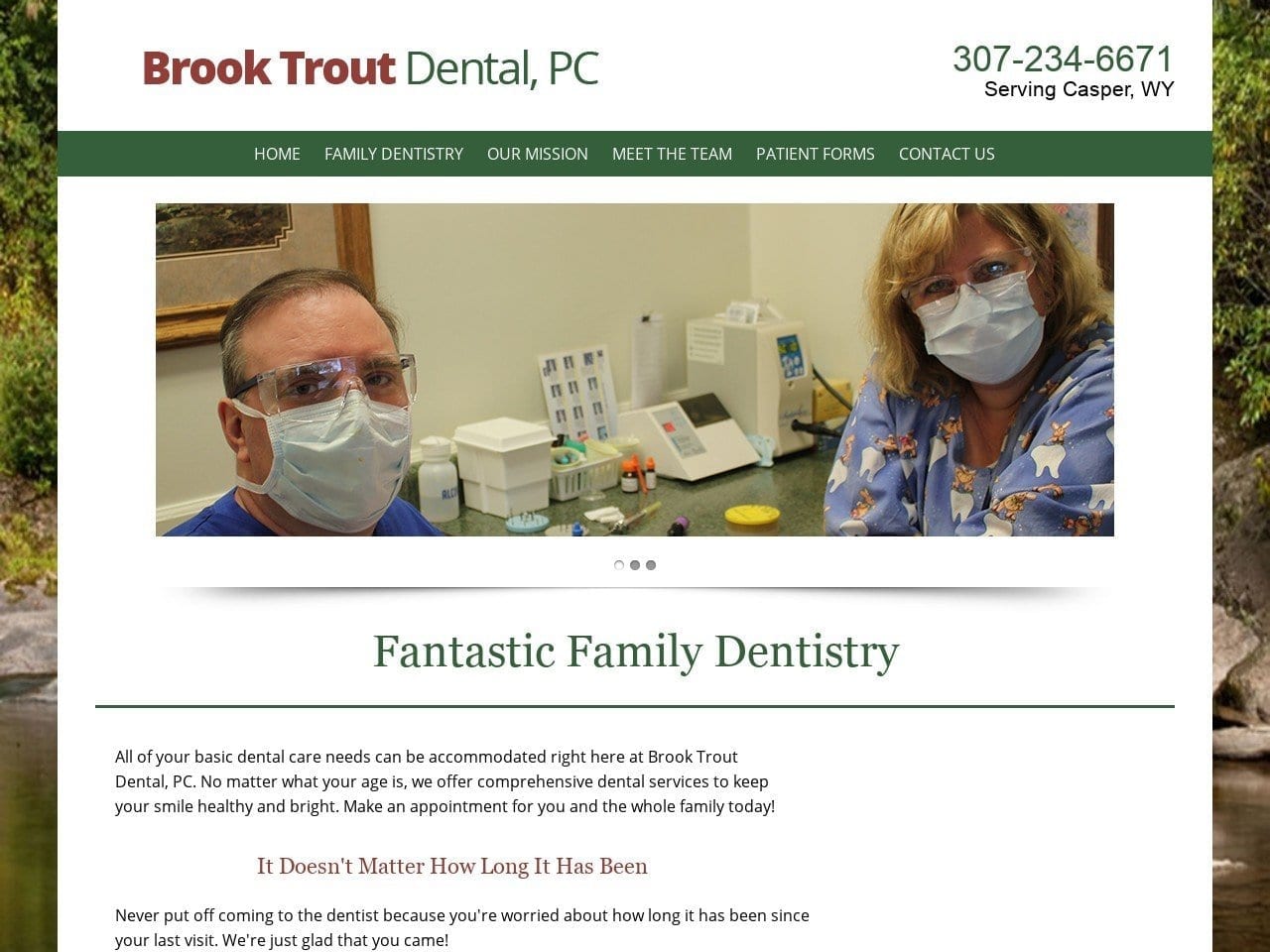 Brook Trout Dental PC Website Screenshot from brooktroutdental.com