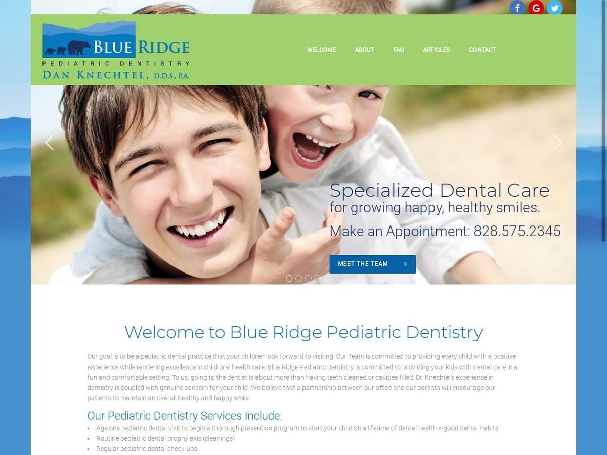 Blue Ridge Pediatric Dentist Website Screenshot from brpedo.com