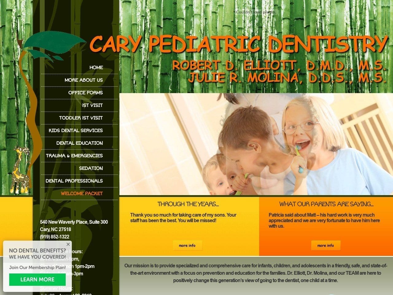 Carey Pediatric Dentist Website Screenshot from carypediatricdentistry.com