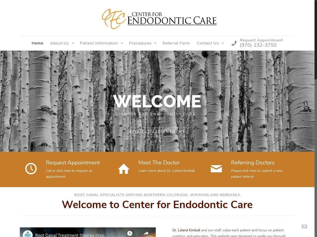 Center For Endodontic Care Website Screenshot from centerforendocare.com