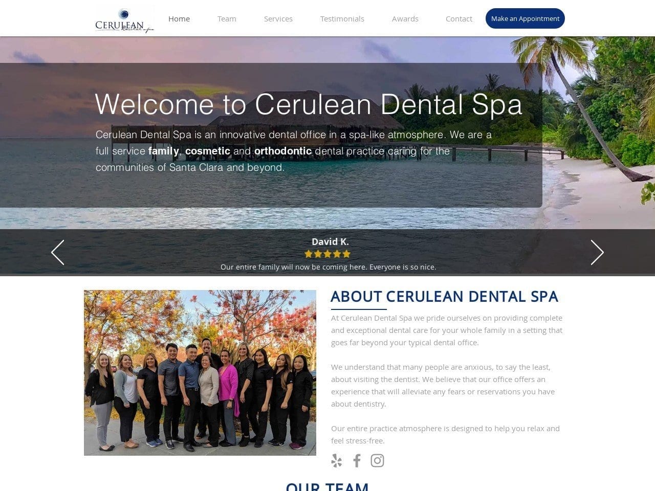 Cerulean Dental Spa Website Screenshot from ceruleandentalspa.com