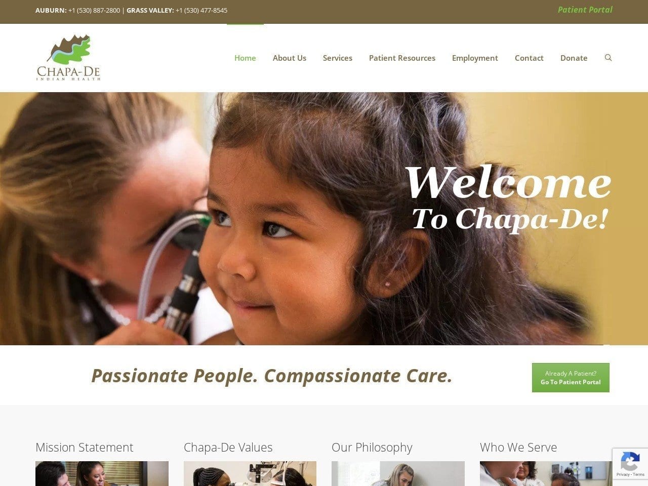 Chapa Website Screenshot from chapa-de.org