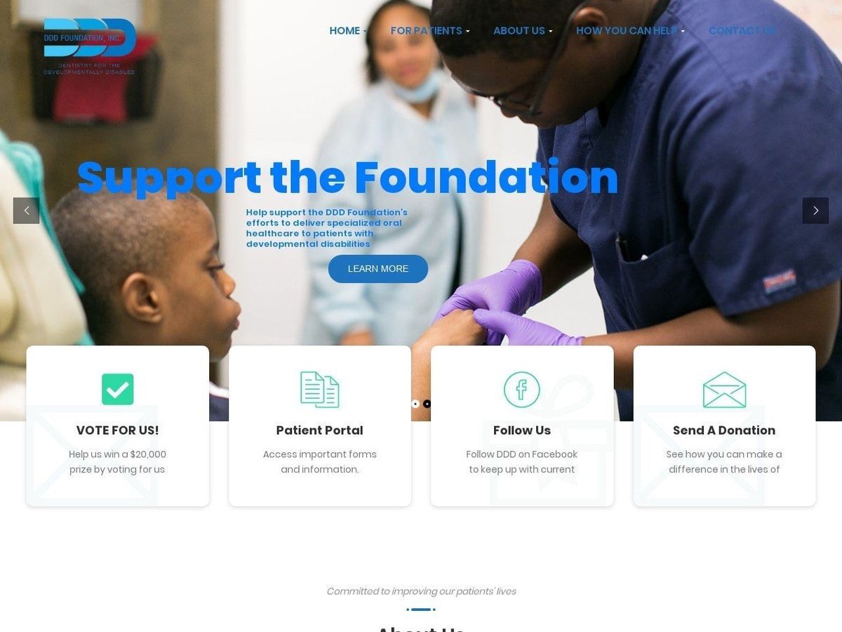 DDD Foundation Inc. Website Screenshot from dddfoundation.org