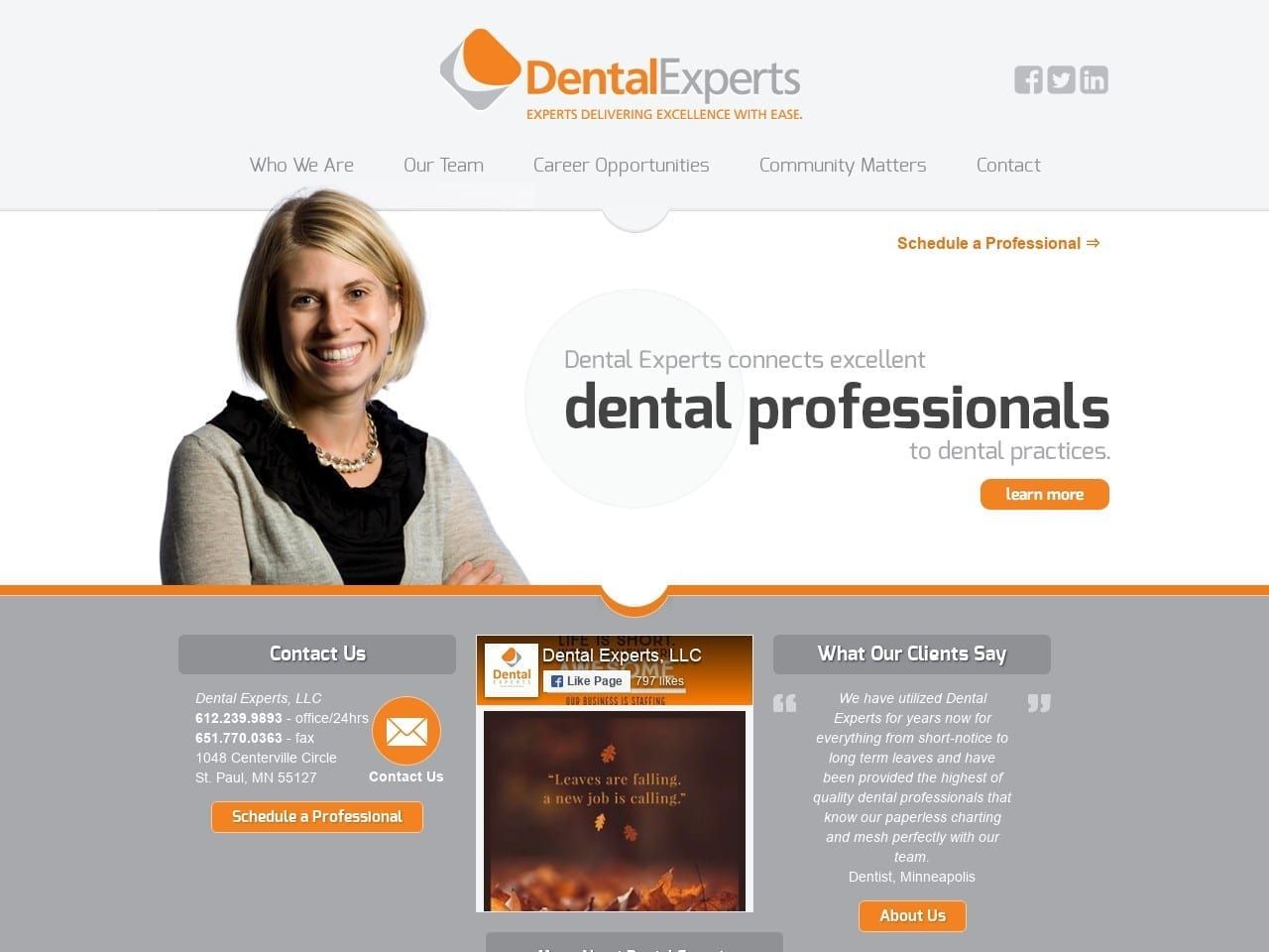 Dental Experts LLC Website Screenshot from dentalexperts.com