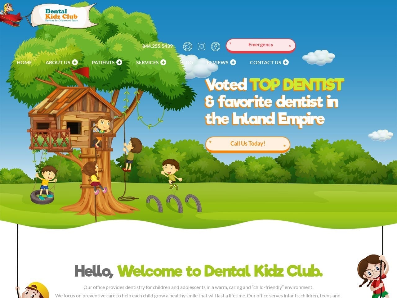 Dental Kidz Club Website Screenshot from dentalkidzclub.com