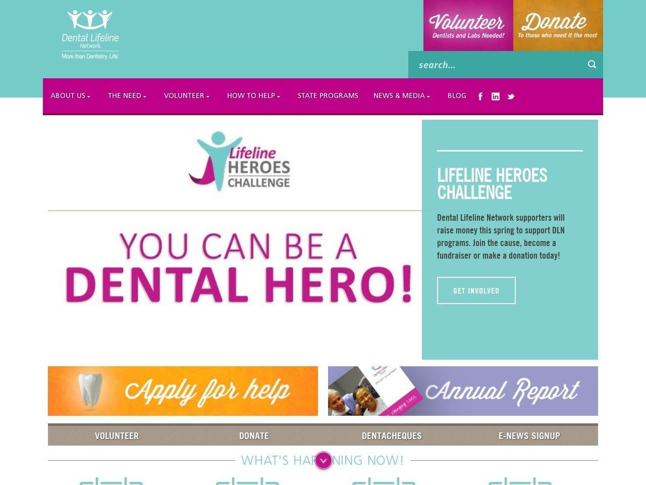 Dental Life Line Network Website Screenshot from dentallifeline.org