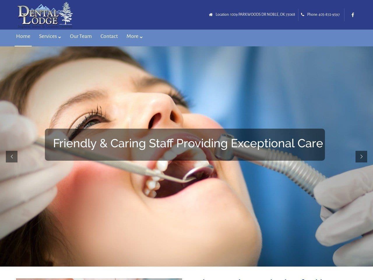 Dental Lodge Website Screenshot from dentallodge.com