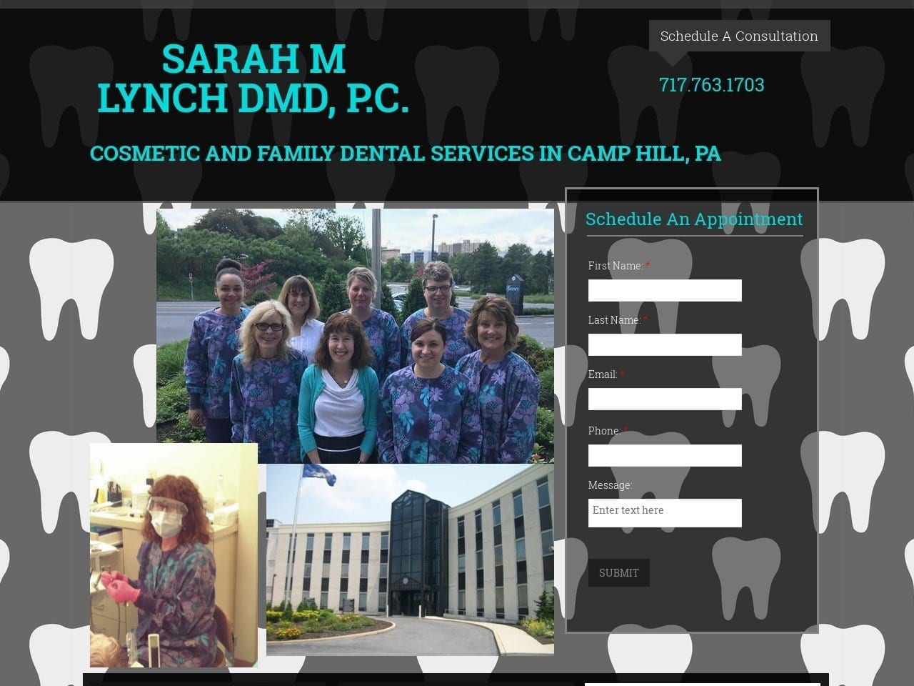 Sarah M. Lynch DMD PC Website Screenshot from dentistcamphill.com