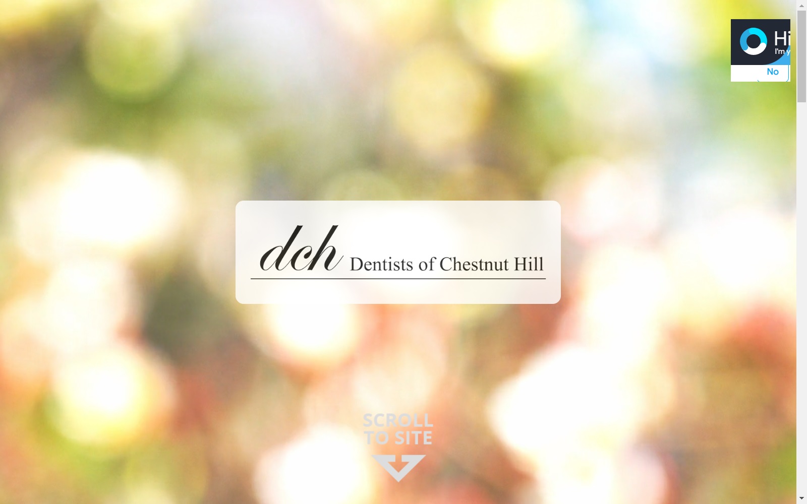 dentistsofchestnuthill.com screenshot