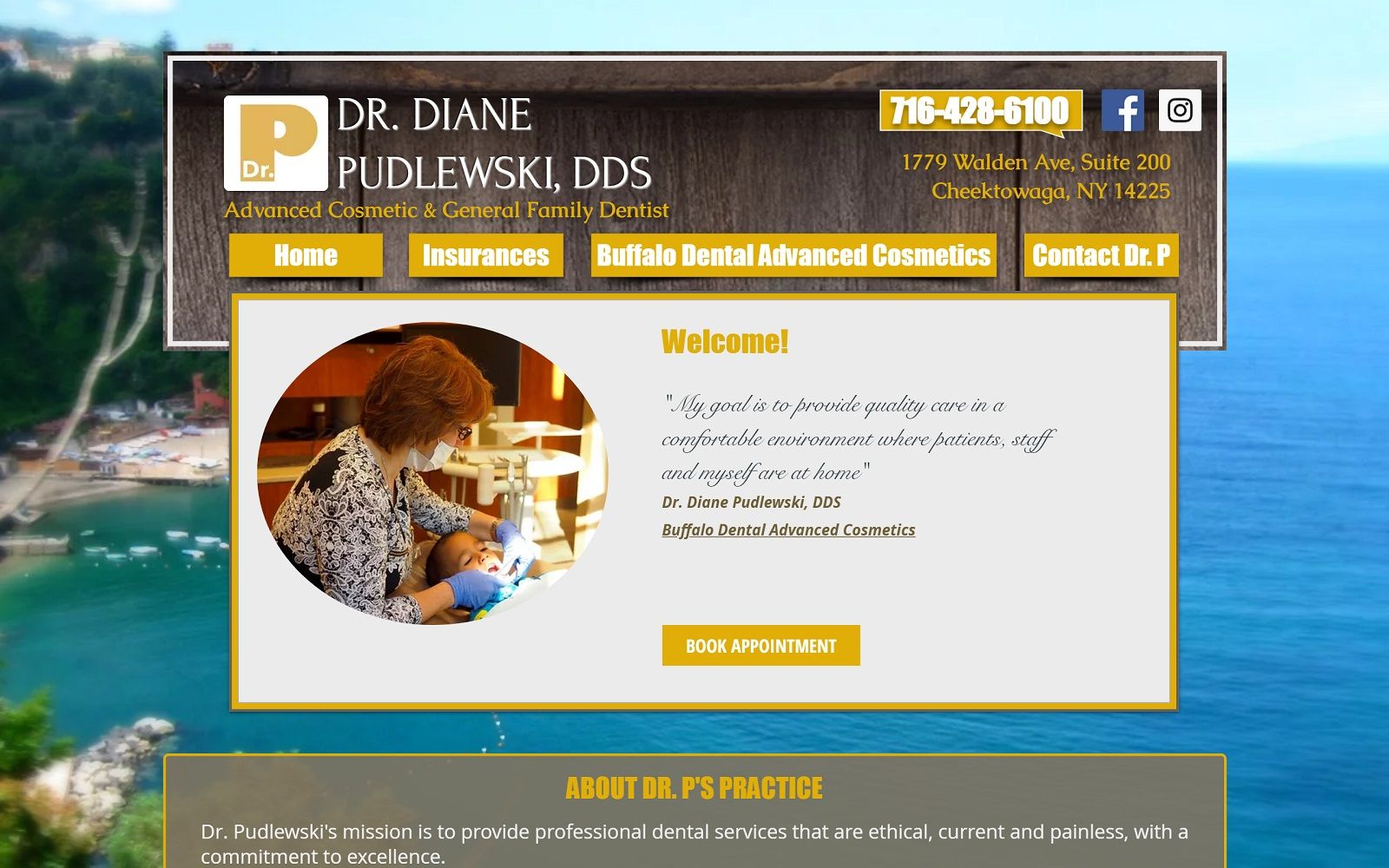dianepudlewskidds.com-screenshot