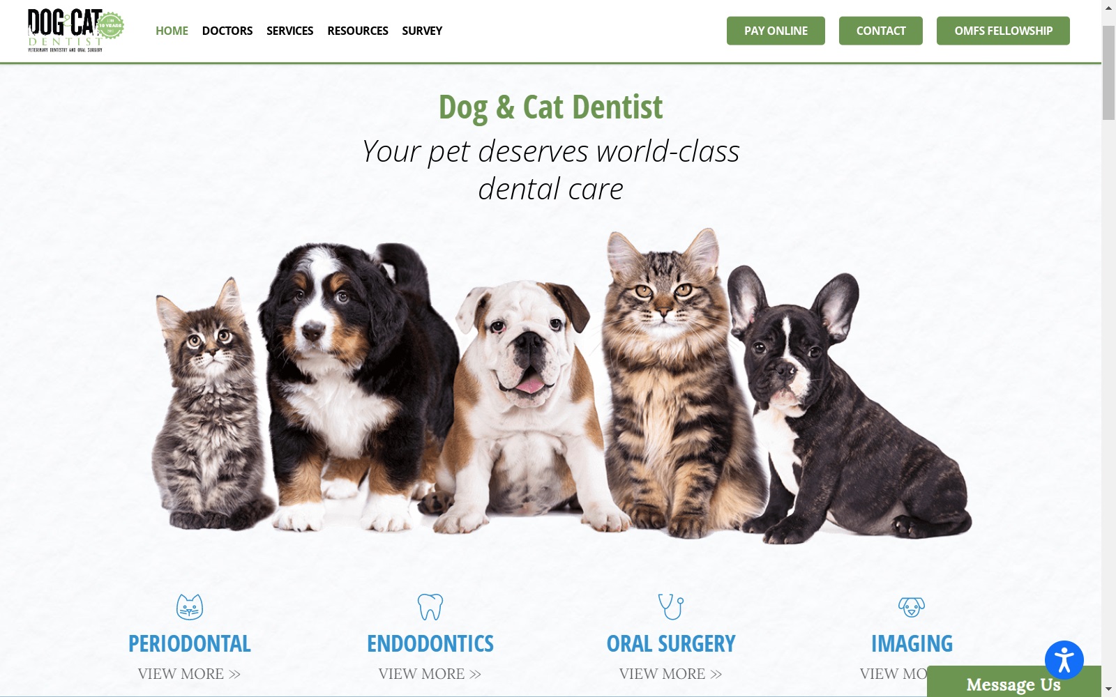 dogandcatdentist.com screenshot