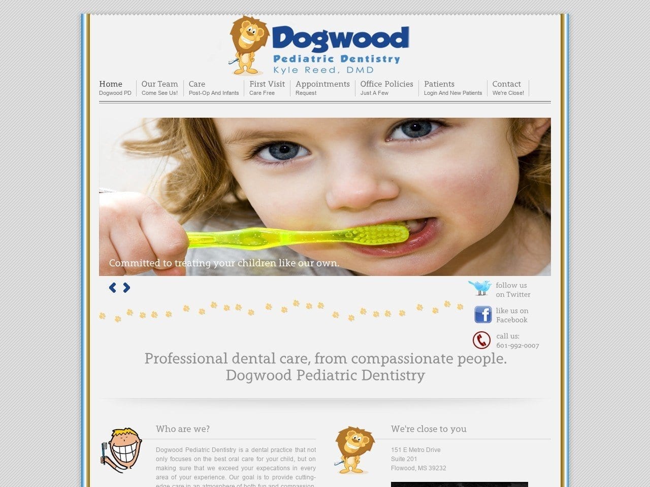 Dogwood Pediatric Dentistery Website Screenshot from dogwoodpediatricdentistry.com