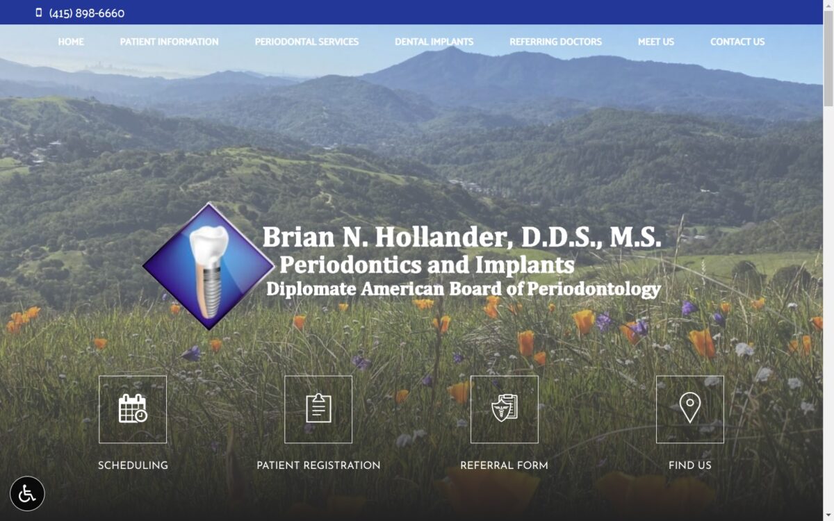 drbhollander.com screenshot