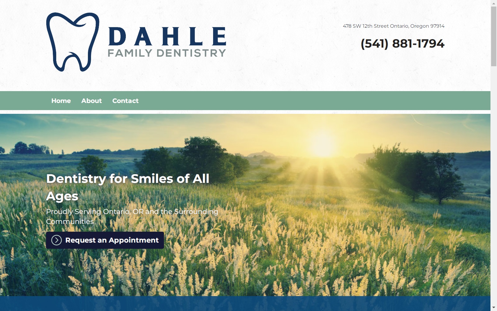 drdahle.com screenshot