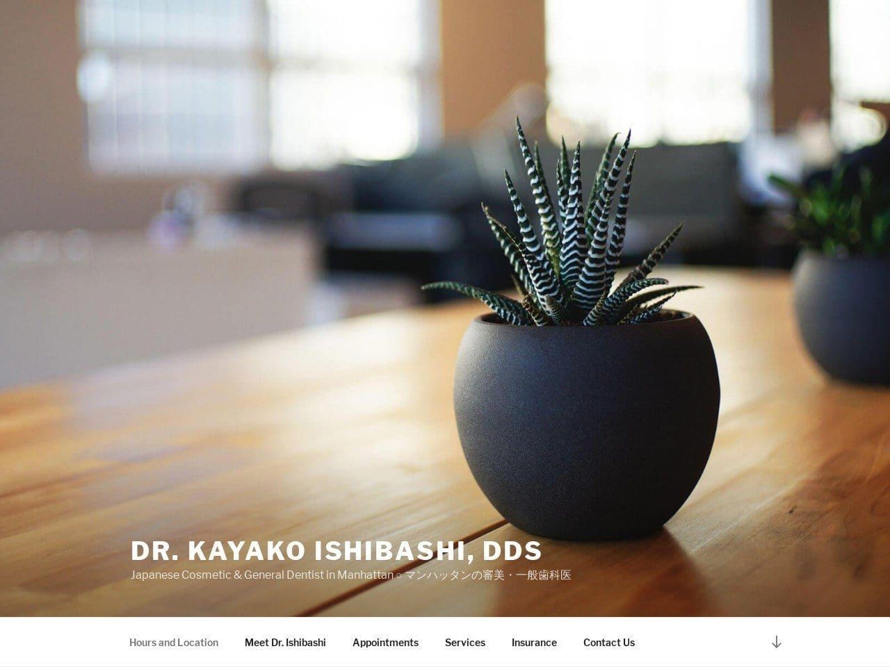 Dr. Kayako Ishibashi DDS Website Screenshot from drishibashi.com