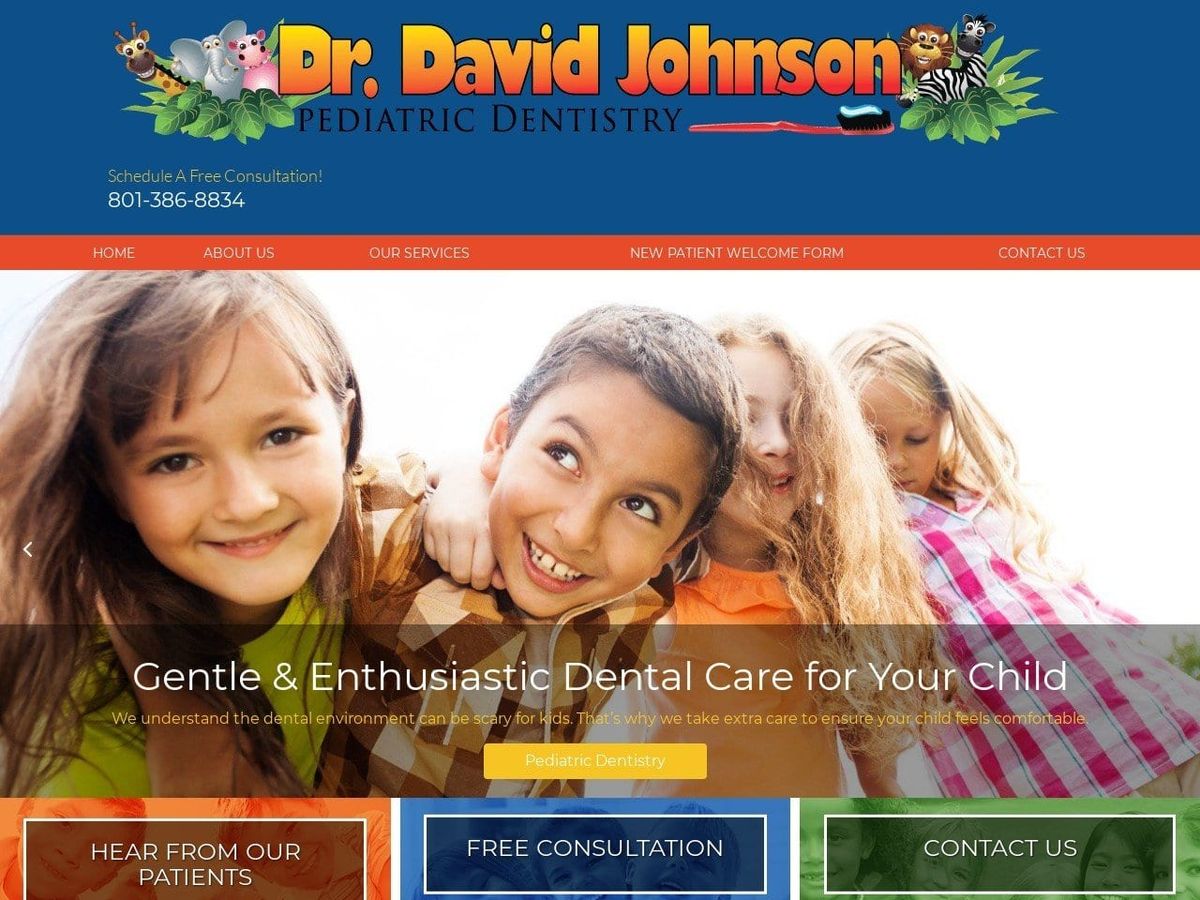 Dr. David J. Johnson DMD Website Screenshot from drjohnsonpediatricdentistry.com