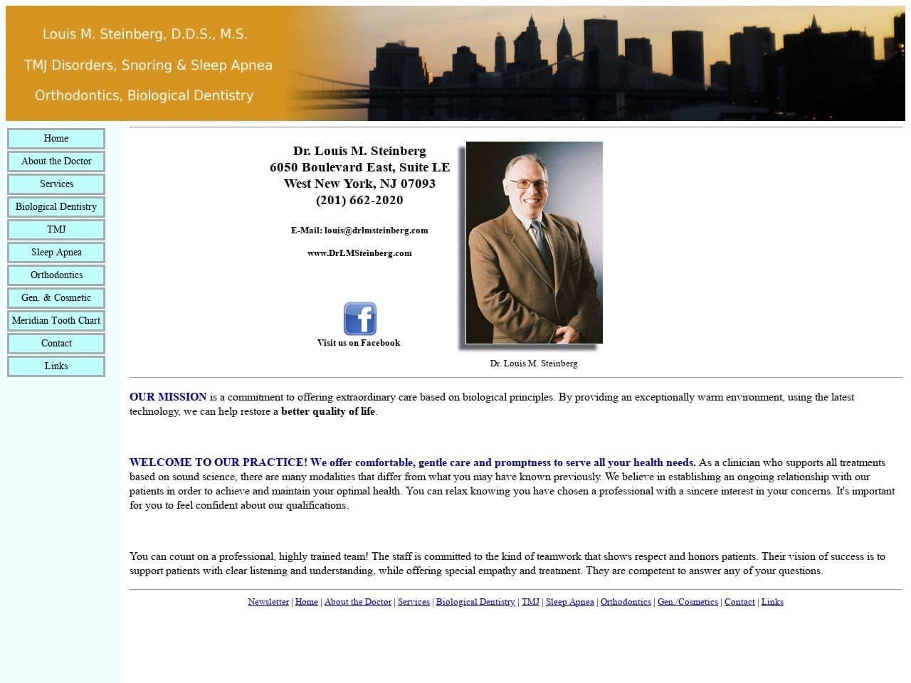 Dr. Louis M. Steinberg Website Screenshot from drlmsteinberg.com