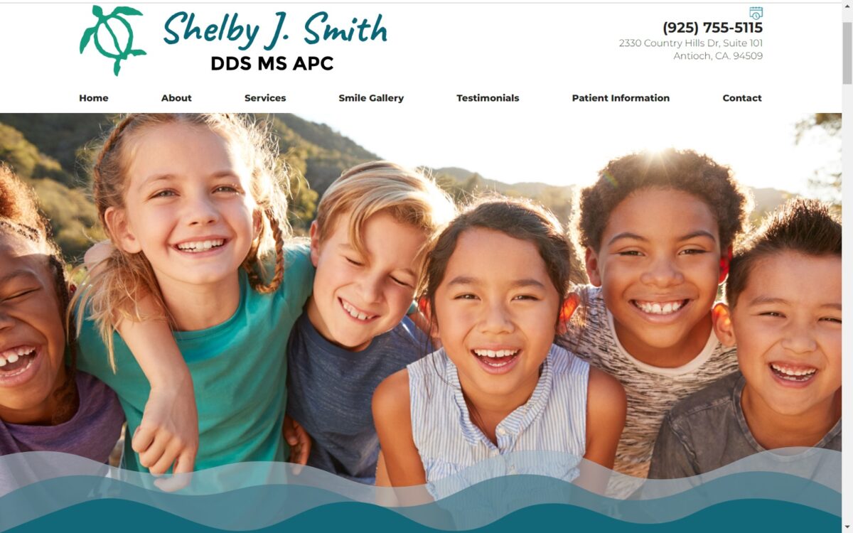 drshelby.com screenshot