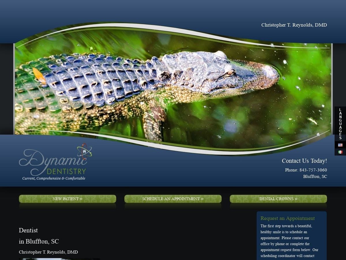 Dynamic Dentistry Website Screenshot from dynamicdentistrybluffton.com