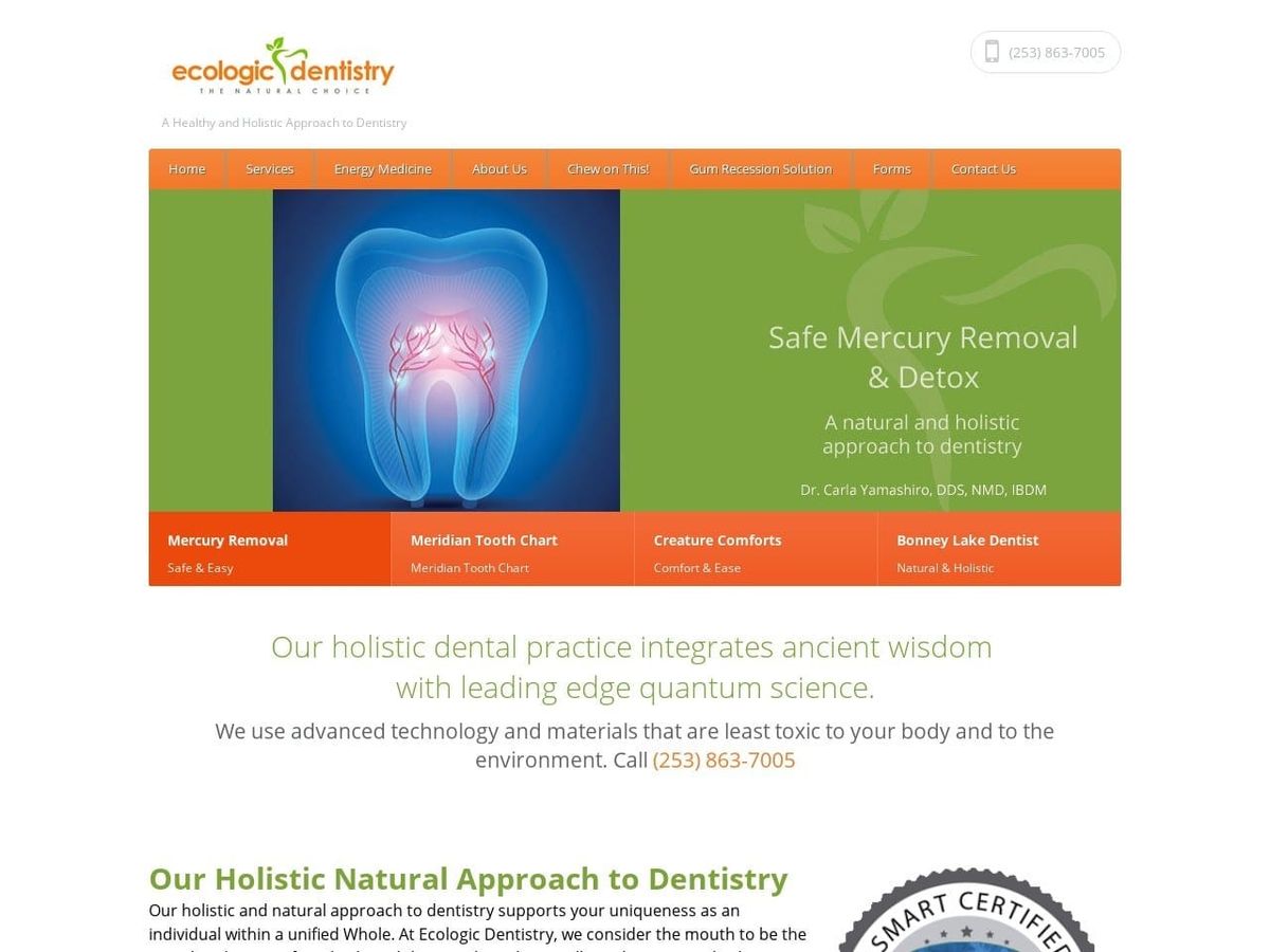 Ecologic Dentist Website Screenshot from ecologicdentistry.com