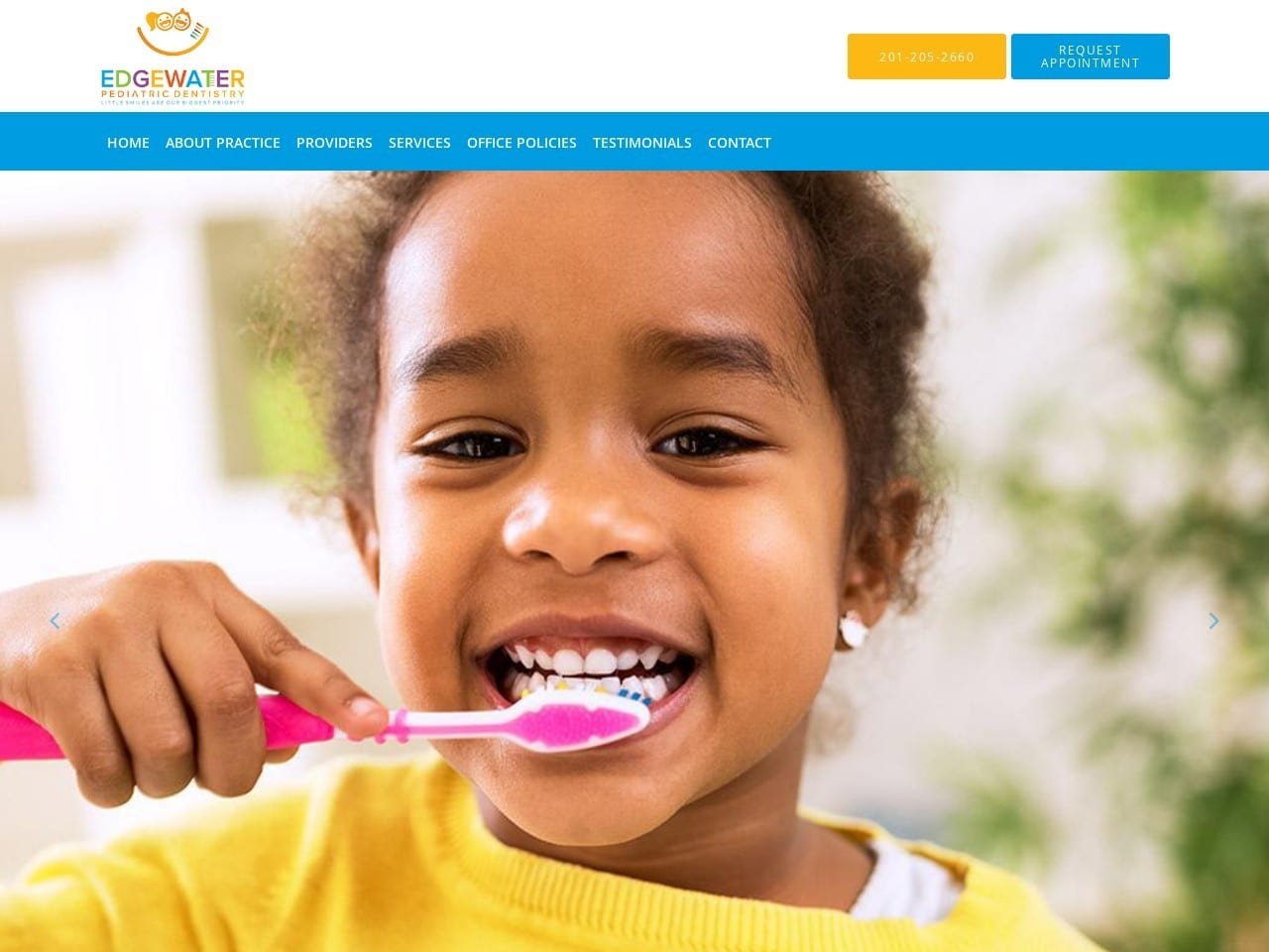 Edgewater Pediatric Dentist Website Screenshot from edgewaterpediatricdentistry.com