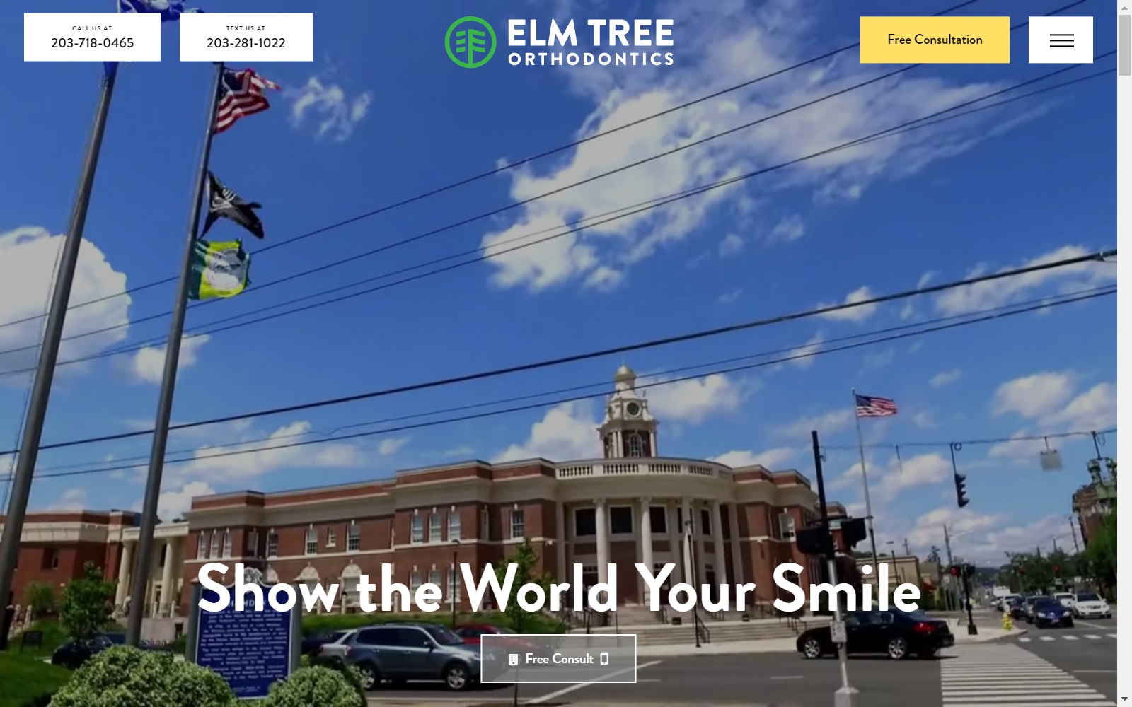 elmtreeorthodontics.com screenshot