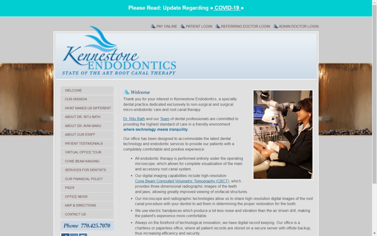 endoatkennestone.com screenshot