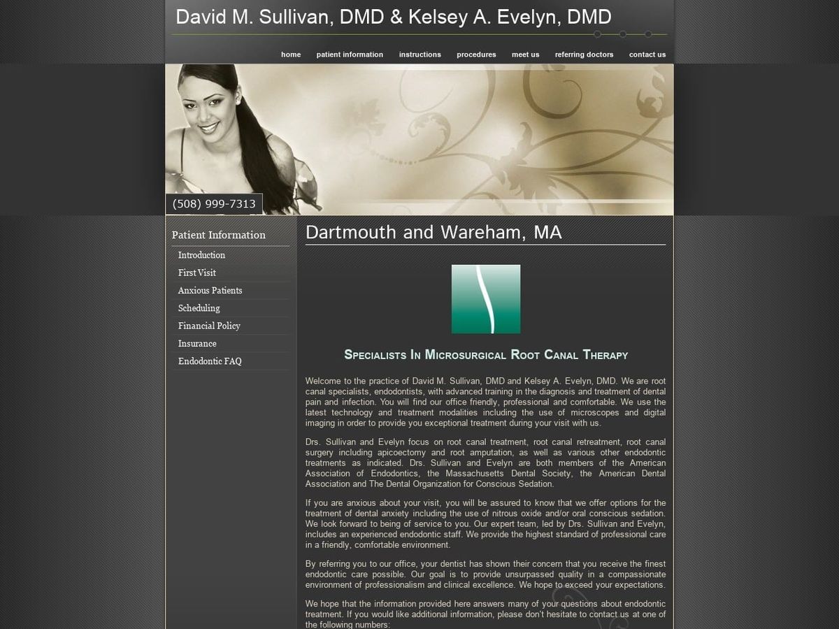 Sullivan David M DDS Website Screenshot from endobaystate.com