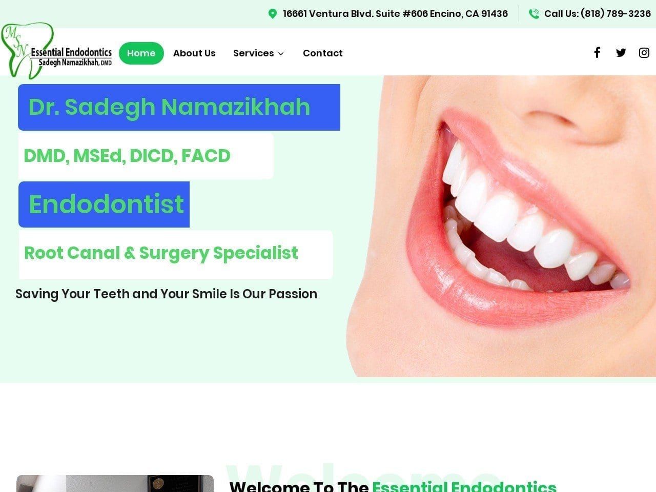 Dr. M. Sadegh Namazikhah DMD DDS Website Screenshot from endodontistdr.com