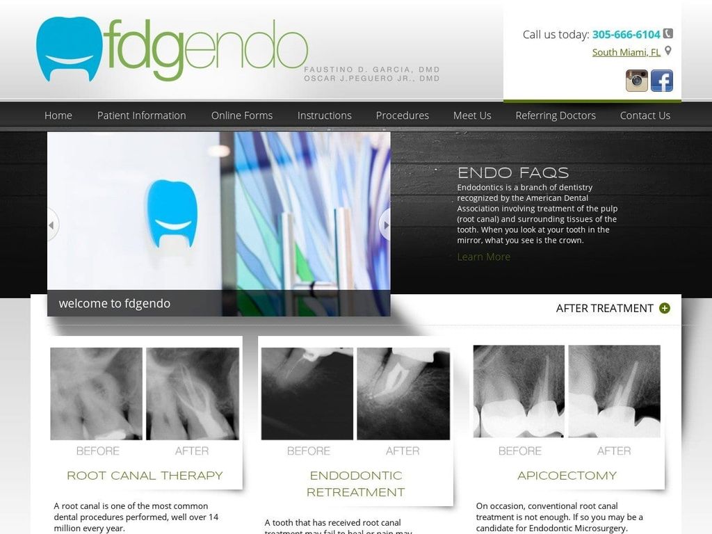 FDGEndo Website Screenshot from fdgendo.com