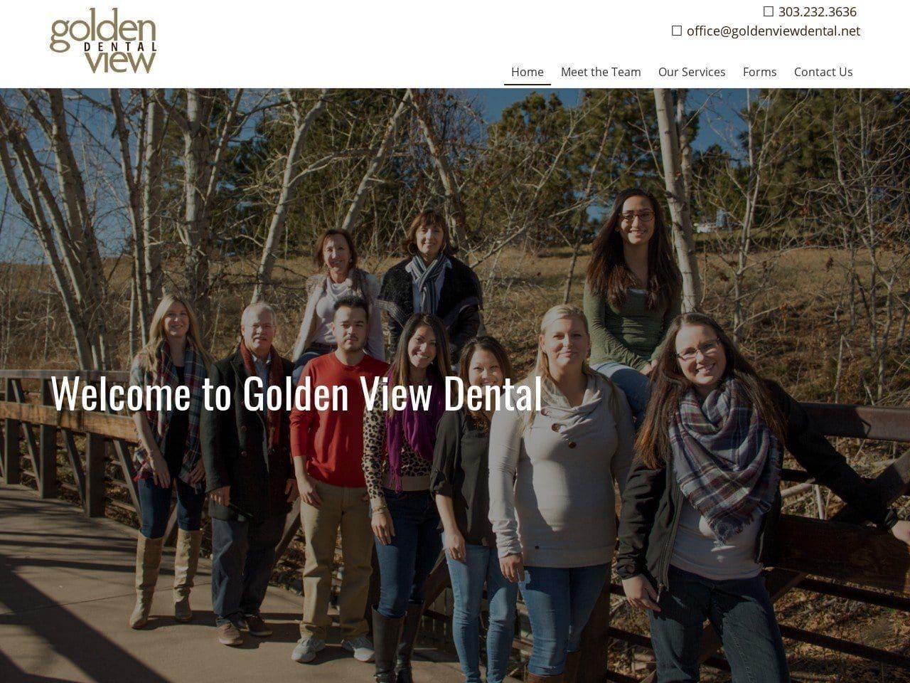 Golden View Dental Website Screenshot from goldenviewdental.net