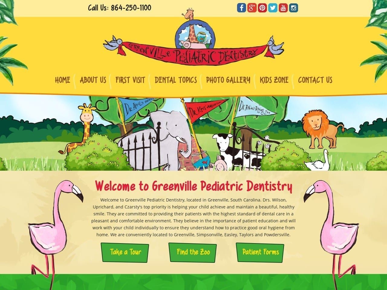 Dr. Robin D. Wilson DMD Website Screenshot from greenvillepediatricdentistry.com