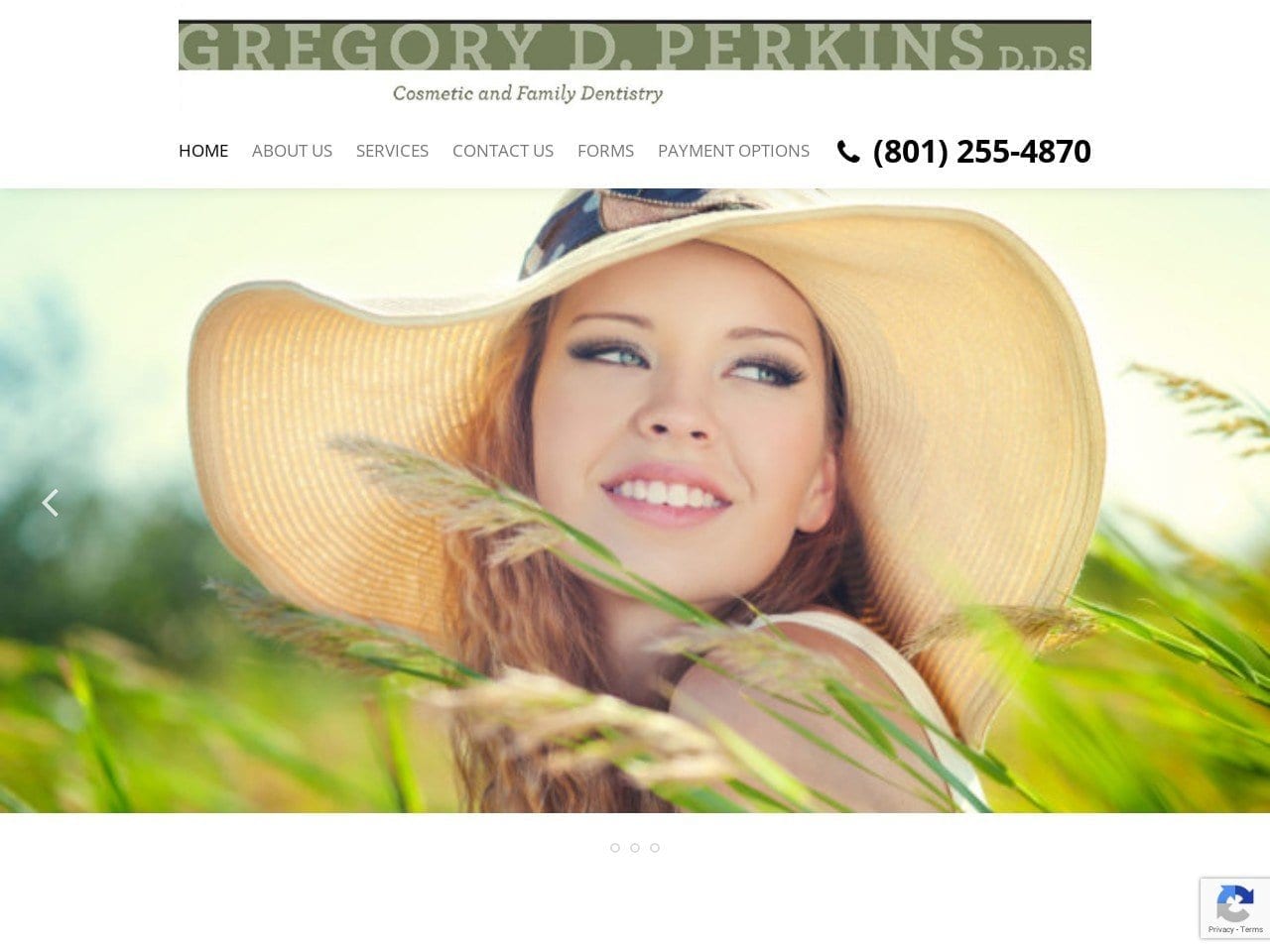 Gregory D Perkins DDS Website Screenshot from gregoryperkinsdds.com